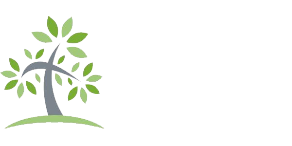 Genesis by the Lake
